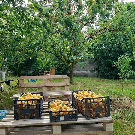 Villa Chateau Sukaj *