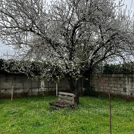 Villa Chateau Sukaj *