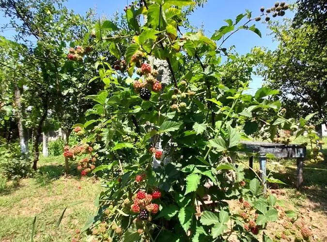 Chateau Sukaj Villa Ljaknasi