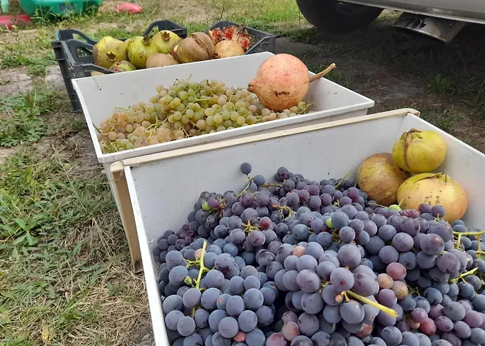 Chateau Sukaj 别墅