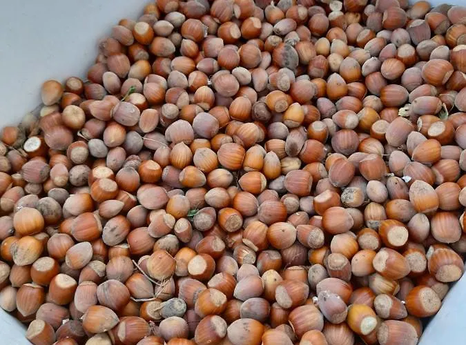 Chateau Sukaj 别墅 *