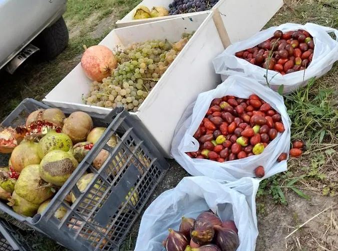 Chateau Sukaj 别墅 *