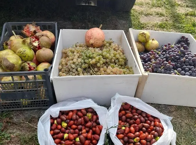 别墅 Chateau Sukaj