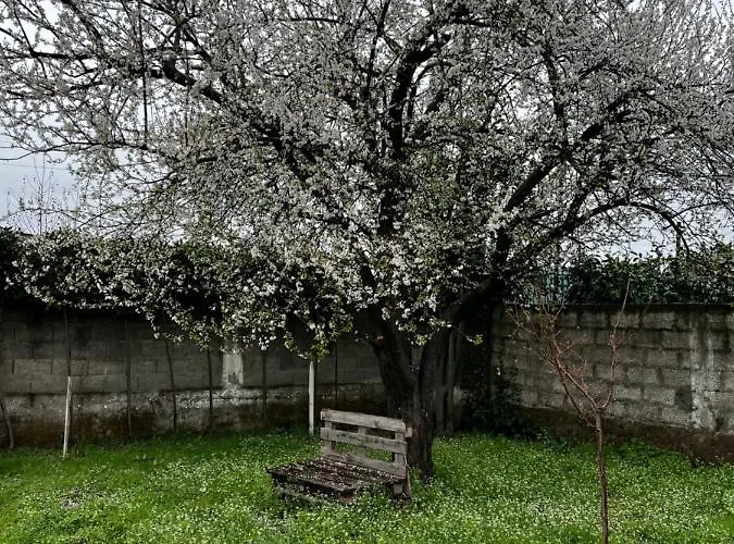 别墅 Chateau Sukaj *