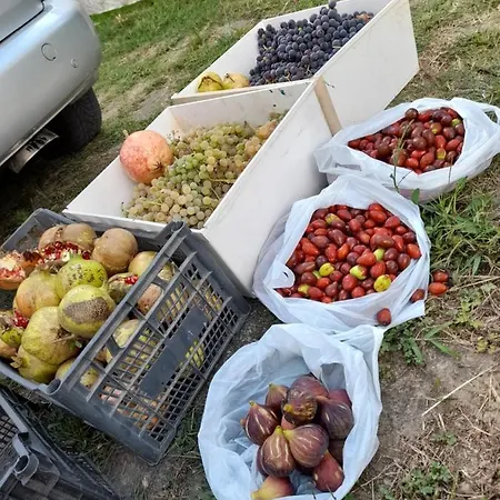 Chateau Sukaj Vila *