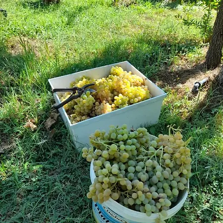 Chateau Sukaj