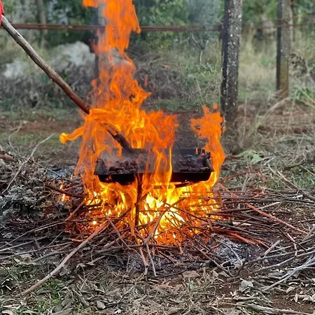 Chateau Sukaj Vila Ljaknasi
