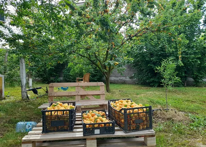 Villa Chateau Sukaj *