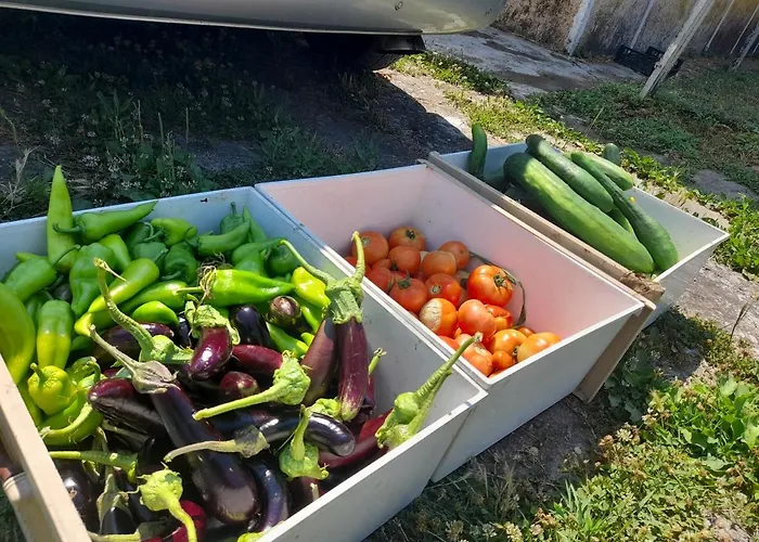 Villa Chateau Sukaj Laknas